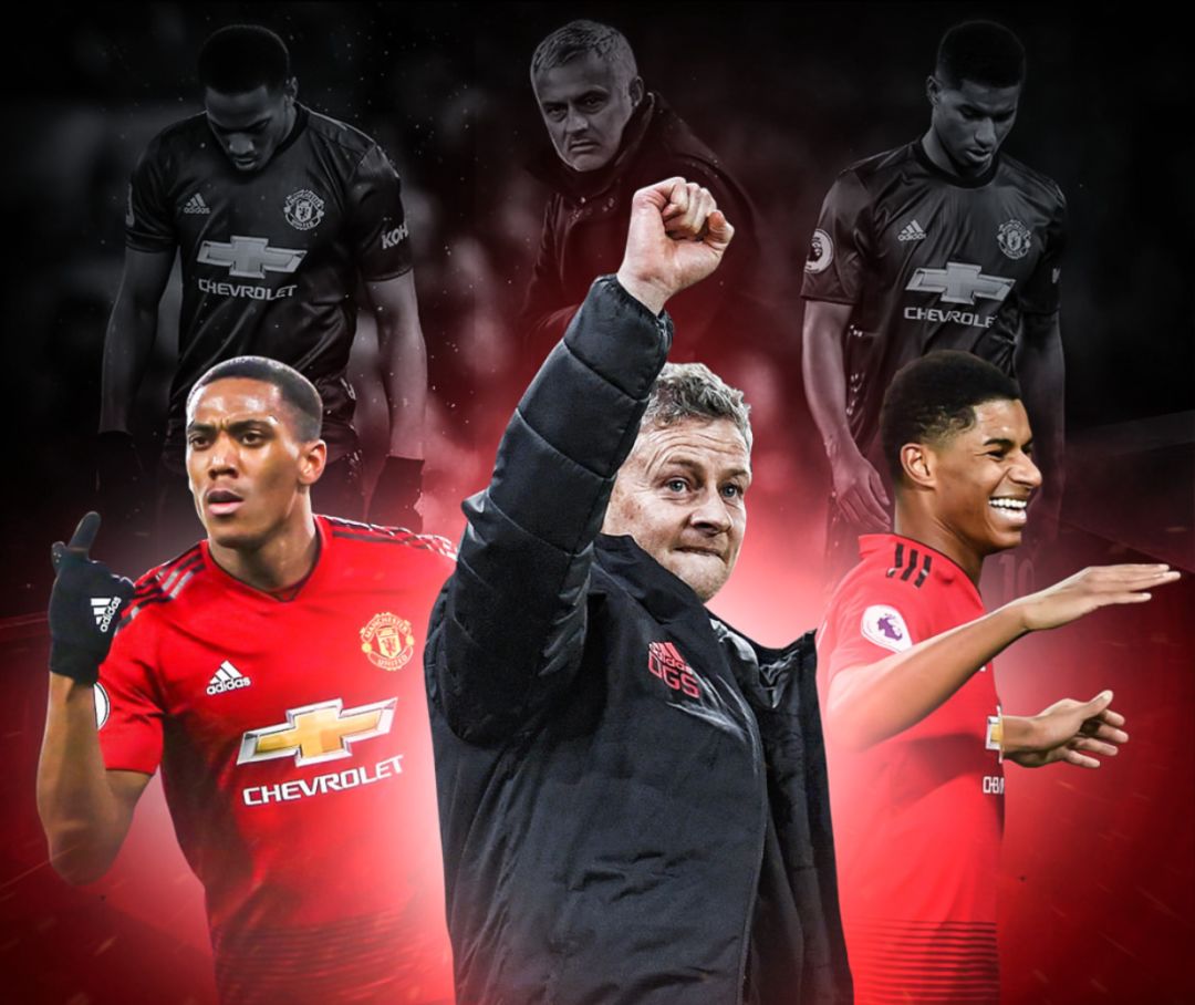 紫色的葉片 紫色的葉片